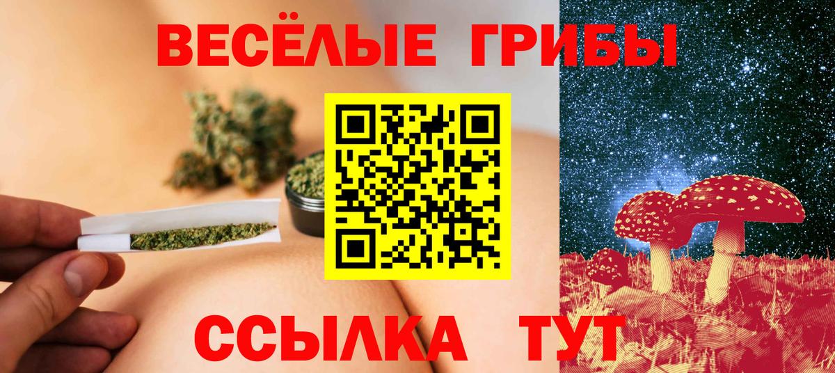 Псилоцибиновые грибы ЛСД Большой Камень